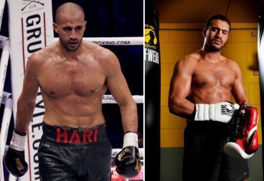 Badr Hari Vermogen